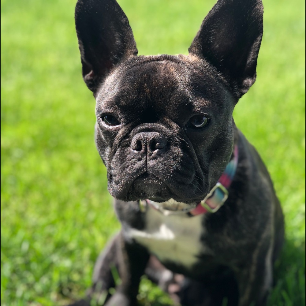 Meet your Posher, Bobbie jo